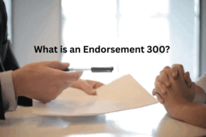 What is an endorsement 300?